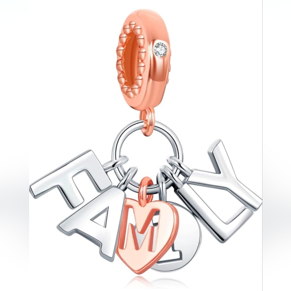 925 Sterling Silver Charms for Bracelets and Necklaces Family Charms